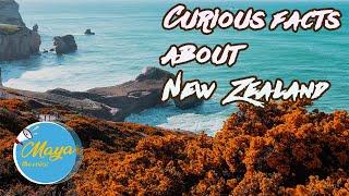 10 Curious Facts about New Zealand: Fun and Interesting Facts