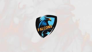 Falcons Academy Channel