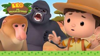 BEST OF LEO THE WILDLIFE RANGER  1 HOUR EPISODE | Leo the Wildlife Ranger | Kids Cartoons