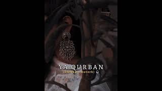 Ya Qurban [Slowed + Reverb] Khumariyaan | @cokestudio | - theakramazad