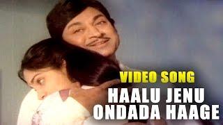 Haalu Jenu Ondada Haage Video Song | Haalu Jenu - ಹಾಲು ಜೇನು | Rajkumar | TVNXT Kannada Music