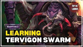 Learning Tervigon - Double Deck Guide & Top 50 ladder Gameplay