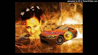 Blümchen type beat (Drip Car Meme)