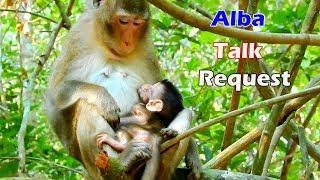 Tears drop down see poor baby Alba talk-talk-talk request Anna for milk, What Anna reply to Alba