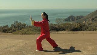 Yang-Style Tai Chi Fundamentals for Beginners - 13 Form (Back View)    楊式太極拳基礎入門13式-全套背向领练