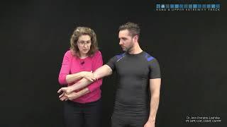 Elbow: Transverse friction massage - proximal flexor pronator group