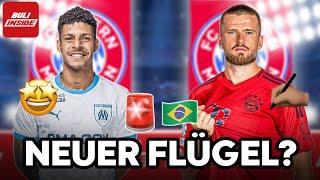 Neuer FLÜGELSTÜRMER für BAYERN? DIER-WENDE überrascht! BVB-KNALL um Abgänge!