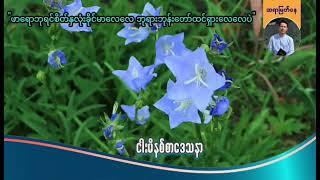 "ဖာရောဘုရင်စိတ်နှလုံးခိုင်မာလေလေ ဘုရားဘုန်းတော်ထင်ရှားလေလေပဲ'' | Saya Myat Nay | 11.3.2025