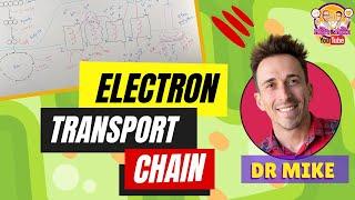 Electron Transport Chain | Made Easy