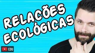 RELAÇÕES ECOLÓGICAS - Harmônicas e Desarmônicas | Biologia com Samuel Cunha