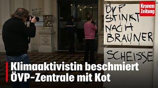 „ÖVP stinkt nach brauner Scheisse“: ÖVP Zentrale mit Kot beschmiert | krone.tv NEWS