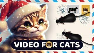 CAT GAMES MOUSE - Letter to Santa. Videos for Cats | CAT TV.