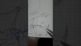 типы нарушение чувствительности . 1-видео