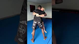 Logan Paul Training with UFC Champs Israel Adesanya and Alexander Volkanovski