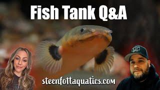 Steenfottaquatics.com Freshwater Aquarium Live Stream Q&A