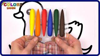 ( Animals ) Duck and Crayons Coloring / Akn Kids House