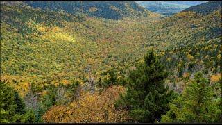 Whiteface & Passaconway Loop  - NH48 4000 Footer