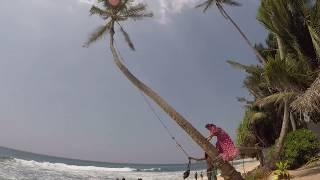 Dalawella Beach - Palm Tree Rope Swing- Unawatuna, Sri Lanka 
