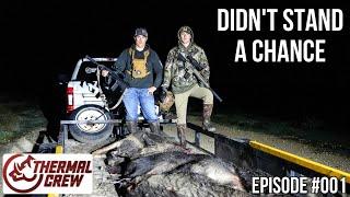 Texas Hog Hunting like never seen before! | Season 1 - Ep #001