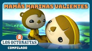 Los Octonautas - ‍️ Mamás marinas VALIENTES  | Episodios Completos | Compilado