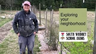 Exploring your Neighborhood - South Whidbey School Farms