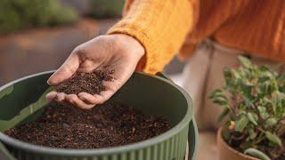 How to use your compost | soilkind