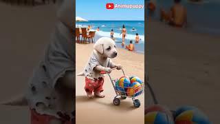 puppy's broken boat story #shortsfeed #viralshorts #shorts #viralpuppy #dogai