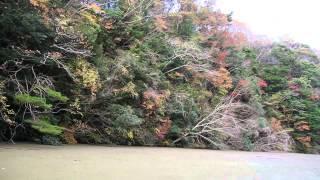 Lake Kameyama Autumn leaf color ride 7of10 亀山ダム紅葉遊覧船７ 20141130