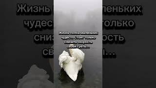 Маленькие чудеса