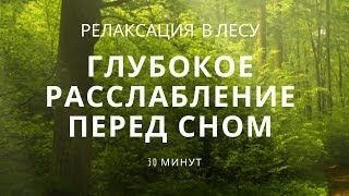 Глубокое расслабление перед сном. Релаксация в лесу