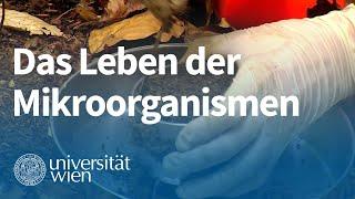 Unsere Böden: Das Leben der Mikroorganismen