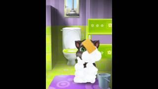 [My Talking Tom] Talking Tom {2}