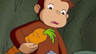 Curious George The Perfect Carrot   Kids Cartoon  Kids Movies | Videos for Kids