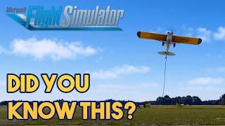 Microsoft Flight Simulator 2024 - What you DIDN’T KNOW ABOUT MSFS2024
