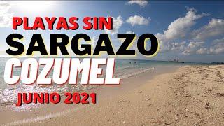 Playas sin SARGAZO en COZUMEL / REPORTE DE SARGAZO ISLA COZUMEL