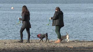 Record warm weather in parts of B.C.