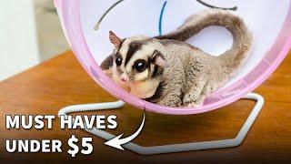 Amazon MUST HAVES for Sugar Gliders | Sugar Glider Care