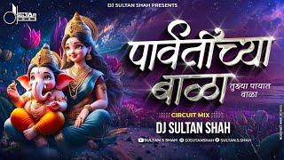 Parvatichya Bala Ganpati Song DJ Remix | Ganpati Maza Nachat Aala DJ | DJ Sultan Shah