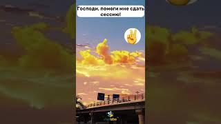 Знаки свыше #shortsvideo #shorts #студизба #мемы #studizba