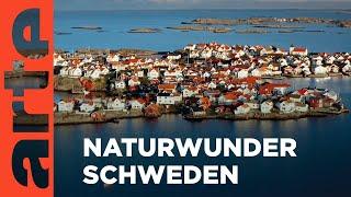 Schweden | Unterwegs im hohen Norden Reupload | ARTE Family