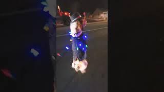 Just another day, walking in the evening yule night parade. #dog #doglife #funnydogvideos #dogmom