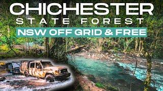 CHICHESTER STATE FOREST | 100% FREE CAMPING AT ITS BEST