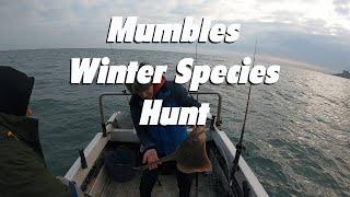 Mumbles winter species hunt