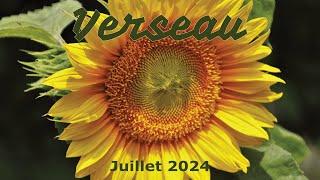 VERSEAU - juillet 2024 ~ Une puissante prise de conscience !