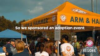 We Doggone Love Pets! - Arm & Hammer™ to the Rescue