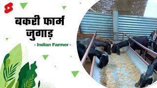 बकरी फार्म पे चारे का जुगाड़ - Goat Farming | Indian Farmer #shorts