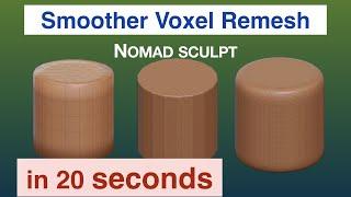 Smoother Voxel Remesh | 21 seconds | Nomad Sculpt