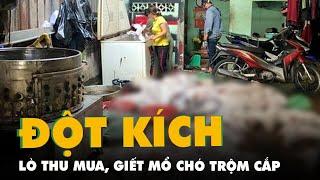 Đột kích lò thu mua, giết mổ chó trộm cắp quy mô lớn ở Sài Gòn