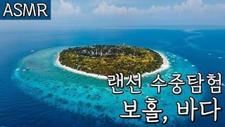 필리핀 보홀, 랜선 수중 세상 탐험! [4K ASMR]