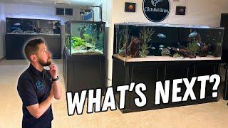 The Fish Room is Getting Bigger! Huge Updates and Plans Revealed